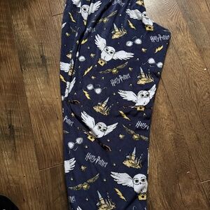 Harry Potter, PJ Bottoms, Authentic, 2x [18-20]
